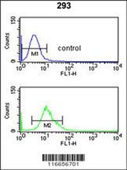 CYP3A43 Antibody (Center)