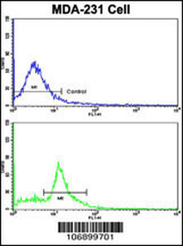 CASP9 Antibody (S196)