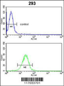 CYP3A5 Antibody (Center)