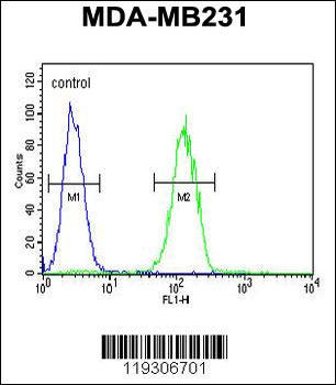 FKBP1A Antibody (N-term)