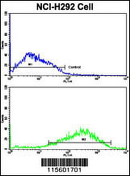 ACK1 Antibody (N-term)
