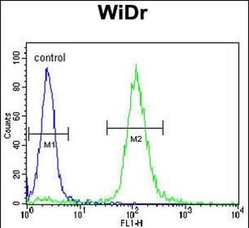 TrkA Antibody