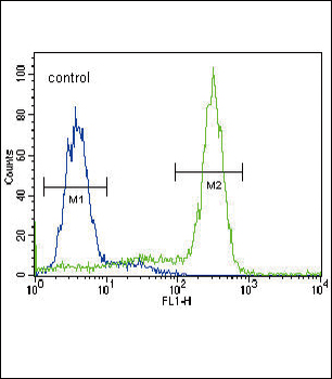 MPST Antibody (C-term)