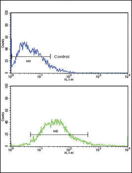 FGFR1 Antibody (N-term)