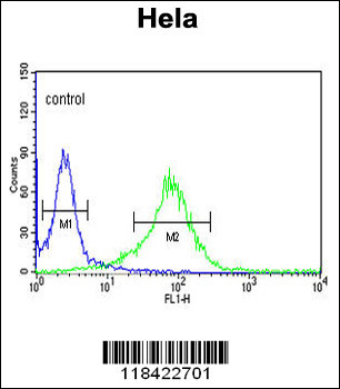 LUM Antibody (N-term)