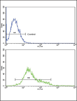 CSF1R Antibody