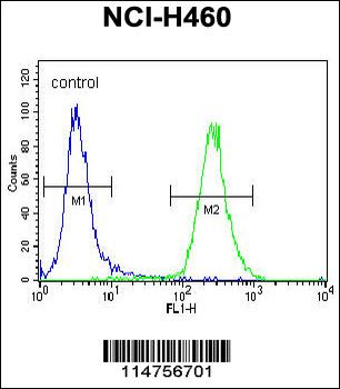 SOD2 Antibody