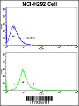 CUL5 Antibody (C-term)
