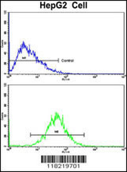 GCAT Antibody (Center)