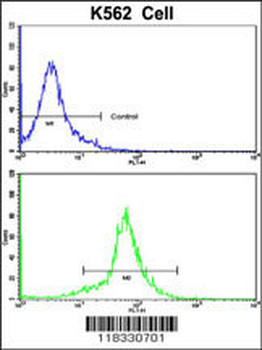 PCM-1 Antibody (C-term)