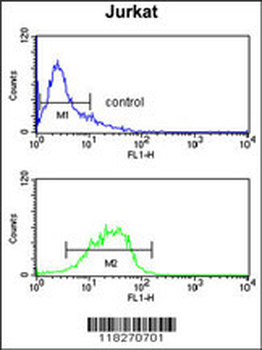 IGFALS Antibody (Center)