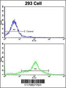 EHD3 Antibody (Center)