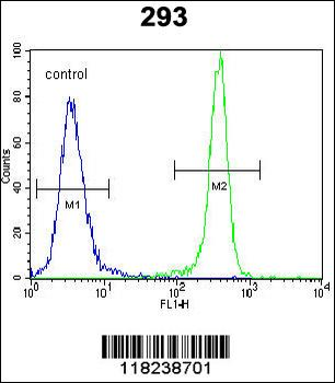 IDH1 Antibody (Center)