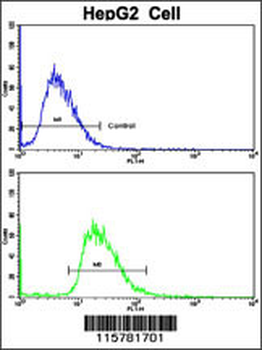 CYP2J2 Antibody (N-term)