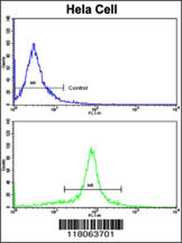 GOLPH3 Antibody (C-term)