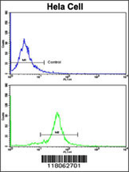 GOLPH3 Antibody (N-term)