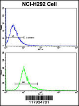 DCXR Antibody (Center)