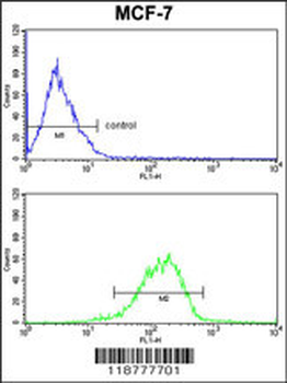 RBM3 Antibody (C-term)