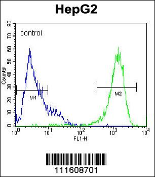MAPK1 Antibody (C-term)