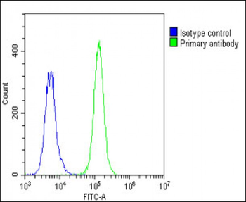 LYK5 Antibody (N-term)
