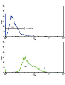 AMHR2 Antibody (C-term)
