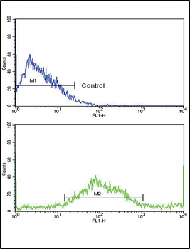 SAR1A Antibody (Center)
