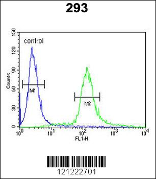 EPS8L3 Antibody (N-term)