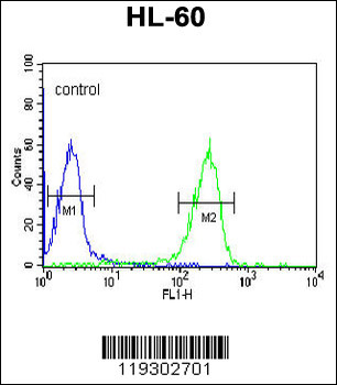 FKBP11 Antibody (N-term)