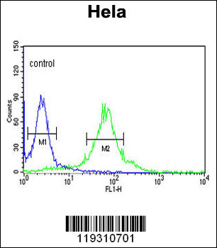 FKBP2 Antibody (N-term)