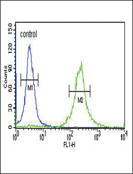 INHA Antibody (N-term)