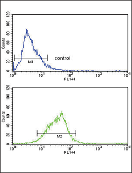 AOX1 Antibody (Center)