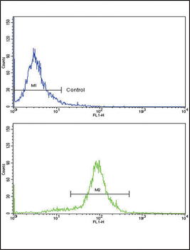 CCL2 Antibody (C-term)