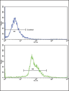 PAX4 Antibody (Center)