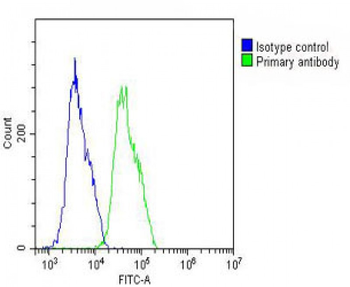 WNT4 Antibody (Center)
