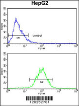 SPCS3 Antibody (C-term)