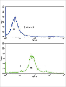 ETV4 Antibody (C-term)