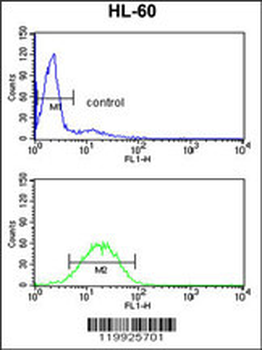 VDAC1 Antibody (Center)