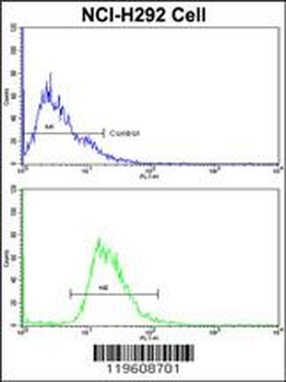 EEF1A1 Antibody (C-term)