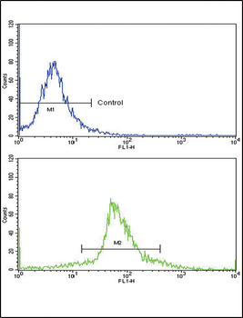 KLF6 Antibody (C-term)