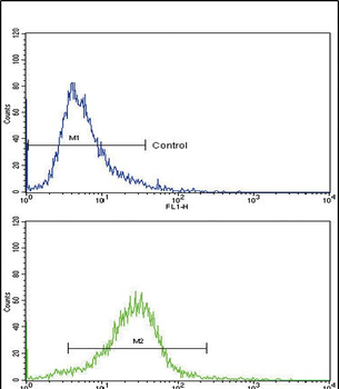 COL6A1 Antibody (C-term)