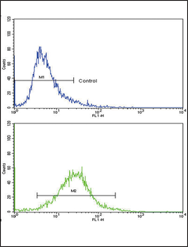 COL6A1 Antibody (N-term)