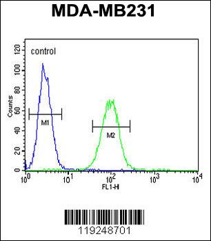CTSF Antibody (Center D276)