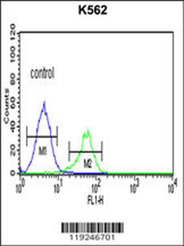 CTSE Antibody (Center)