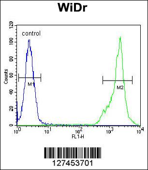 C4BPA Antibody (C-term)