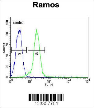 RUBCNL Antibody (Center)