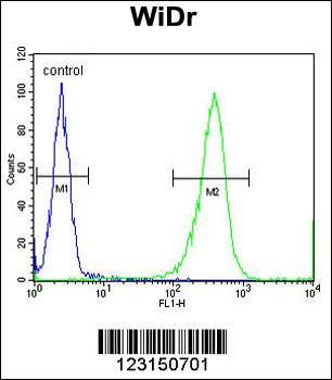 DIRAS3 Antibody