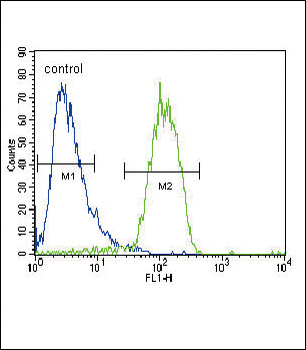 RASGRP1 Antibody (Center)