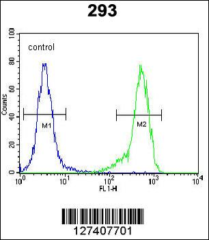 C4orf31 Antibody (N-term)