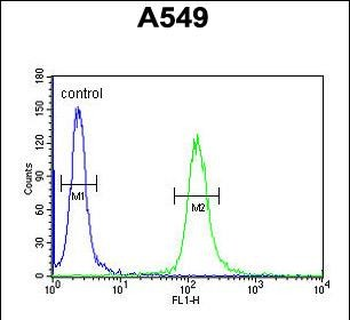 LOH12CR1 Antibody (C-term)