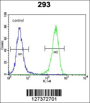 AQP11 Antibody (C-term)